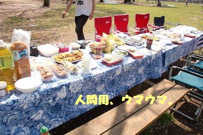 e0196135_23103280.jpg