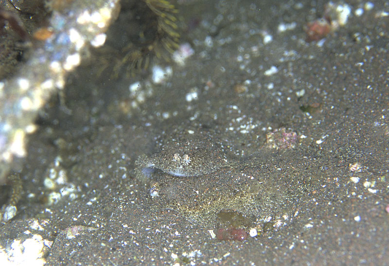 b0042837_4442490.jpg