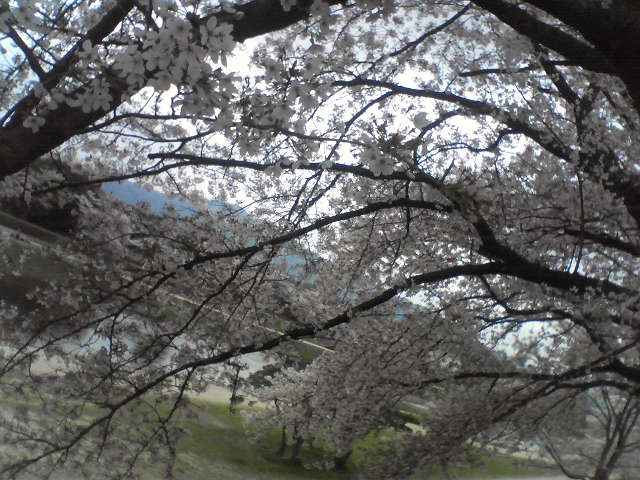 f0237037_23455937.jpg