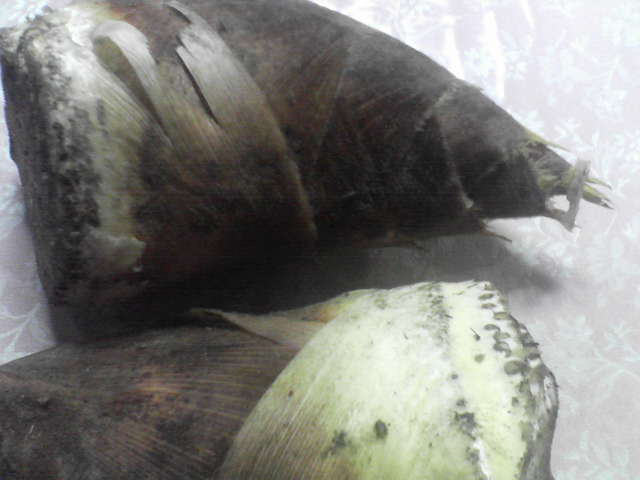 f0237037_23512890.jpg