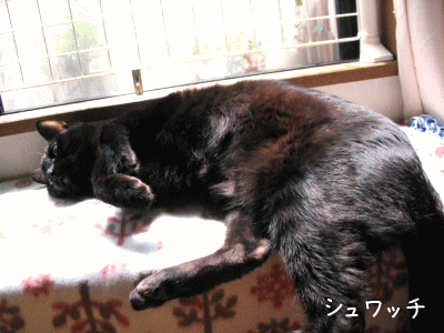 a0166338_2085132.gif