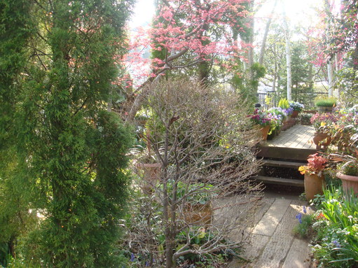 a0046339_23124890.jpg