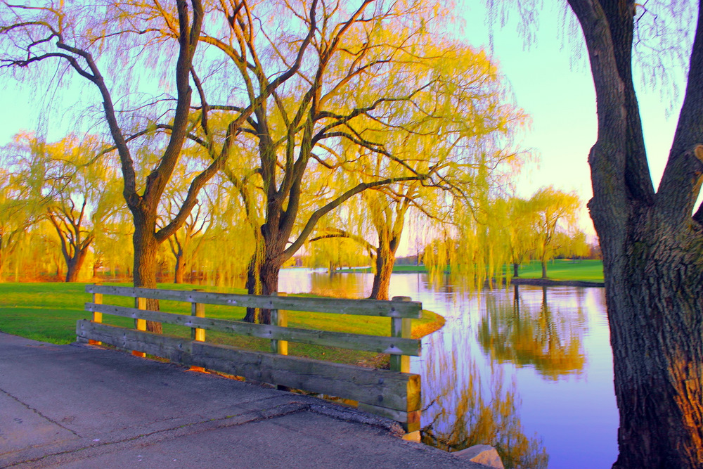 b0165939_0245480.jpg