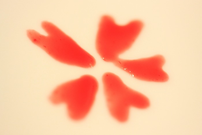 b0168041_17275540.jpg