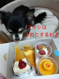 c0121141_0204280.jpg