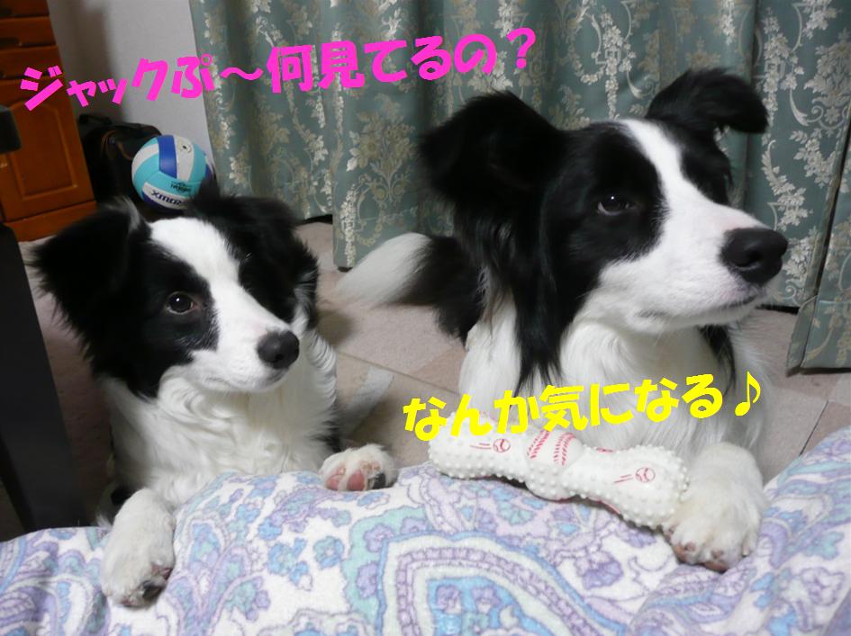 c0147241_2122559.jpg