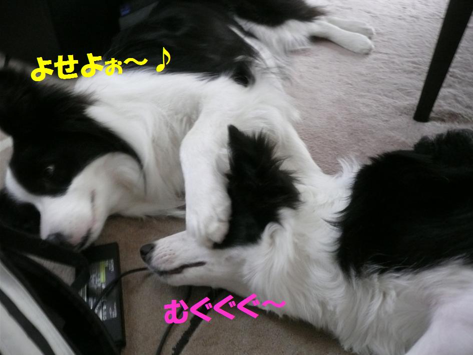 c0147241_2124741.jpg