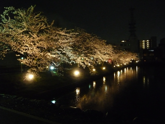 f0219441_2153128.jpg
