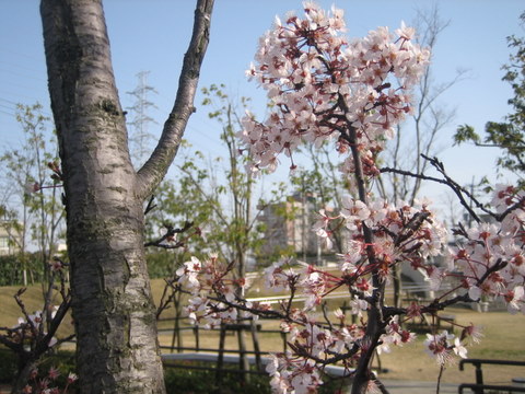 e0018143_0275089.jpg