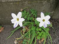 e0080345_15301233.jpg
