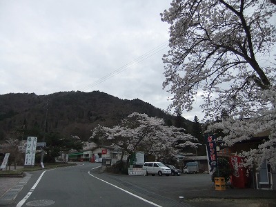 e0173645_1058576.jpg