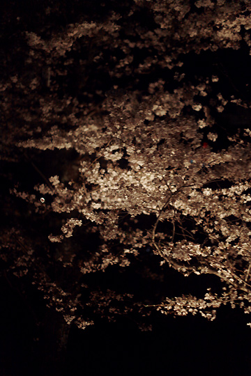 d0008146_114432100.jpg