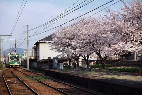 d0008146_12394341.jpg