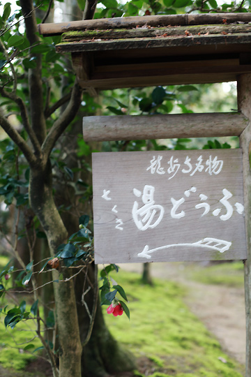 d0008146_9105040.jpg