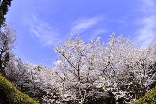 f0214648_042078.jpg