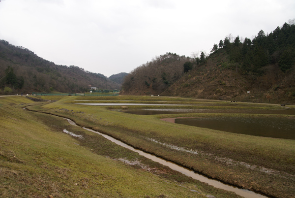 f0214649_8283696.jpg