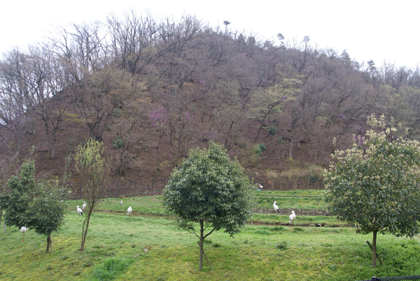 f0214649_836279.jpg