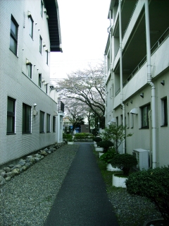 a0068350_7594318.jpg