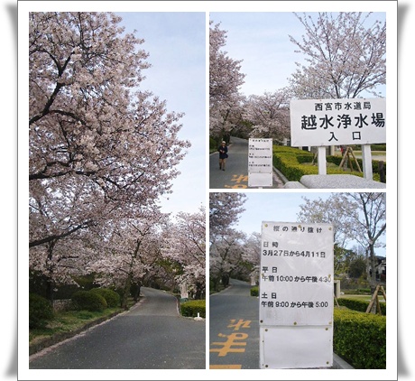 b0163750_17335037.jpg