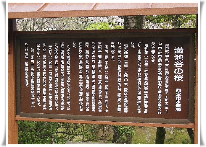 b0163750_1742368.jpg