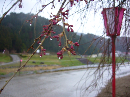 b0174451_7151767.jpg