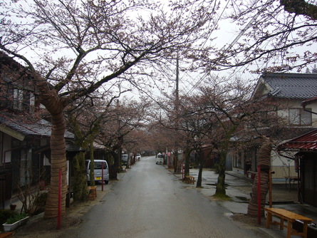 b0174451_794112.jpg