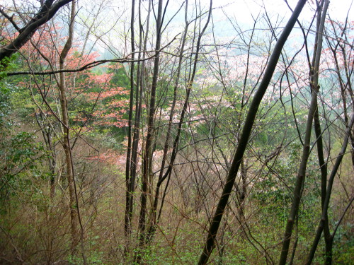 c0179351_21125151.jpg