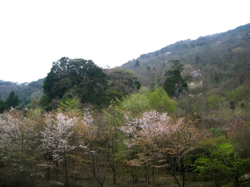c0179351_21242213.jpg