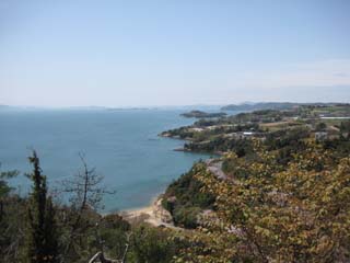 a0052952_1729765.jpg