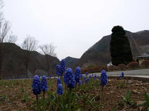 b0100253_18514459.jpg