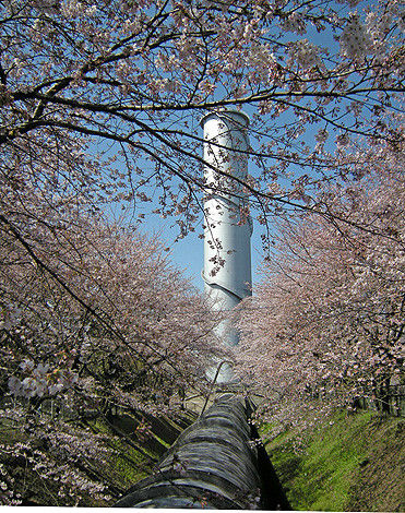 a0001354_1242848.jpg