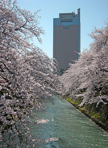 a0001354_13175153.jpg