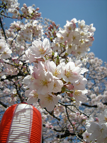 a0001354_13193625.jpg