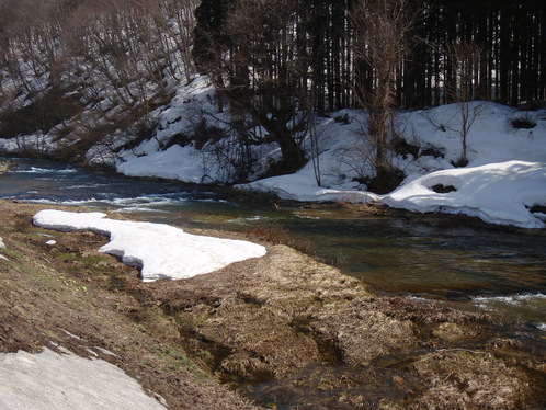 b0177355_22372367.jpg