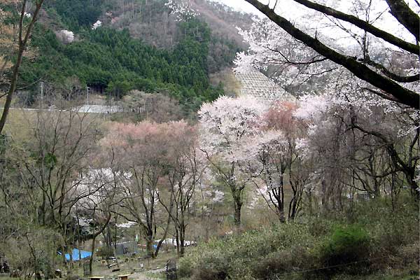 f0007956_2192689.jpg