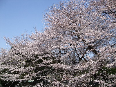 e0176158_0242975.jpg