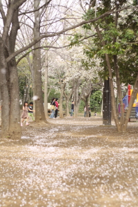 f0214858_20493160.jpg