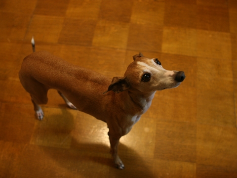 f0158862_2036277.jpg