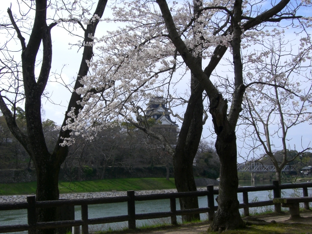 a0108963_20394763.jpg