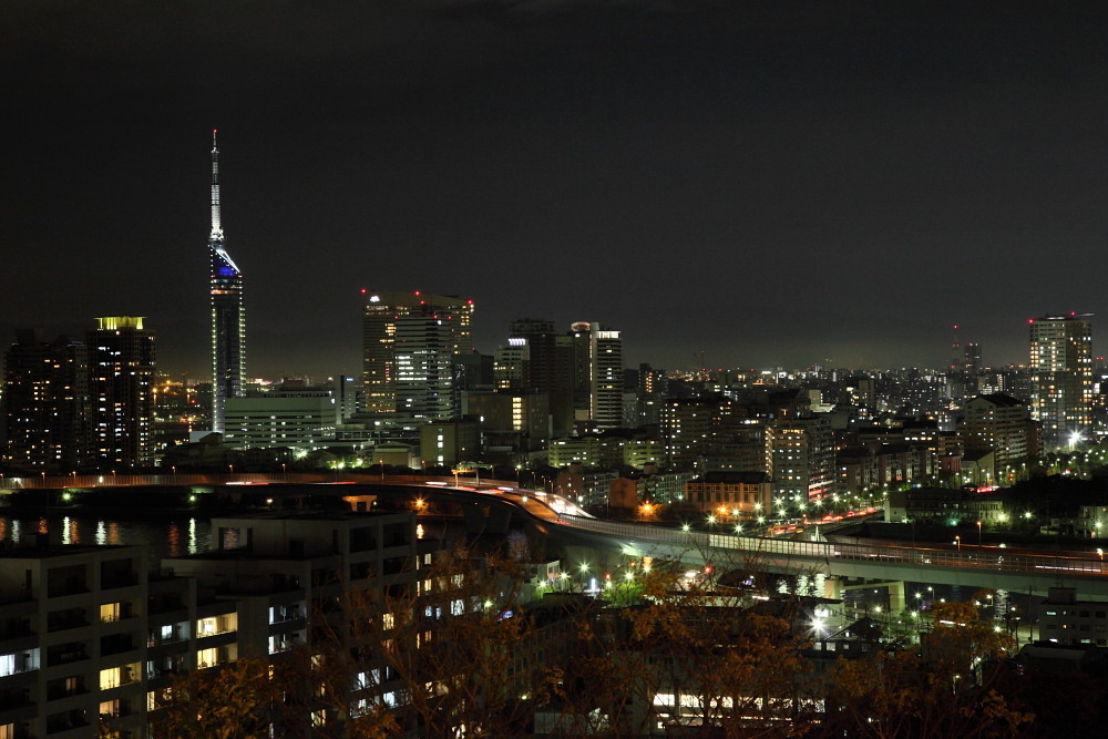 e0173663_12354955.jpg