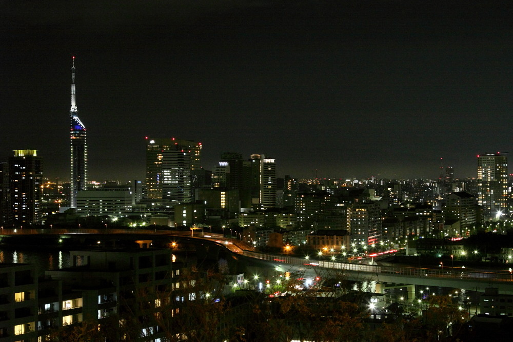 e0173663_12363148.jpg