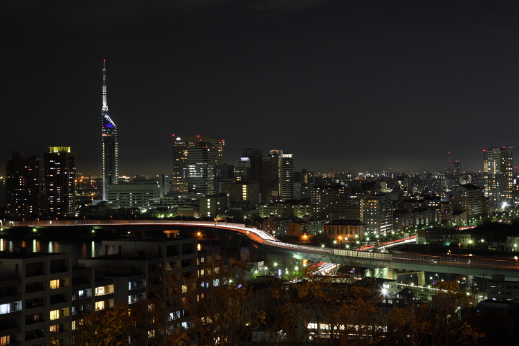 e0173663_128839.jpg