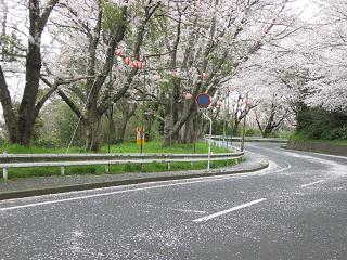 f0150364_23213858.jpg