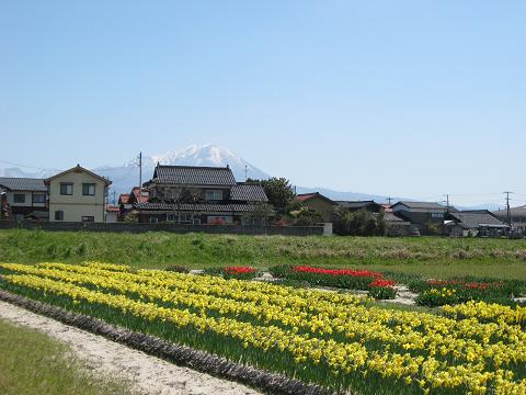 f0150364_23241663.jpg