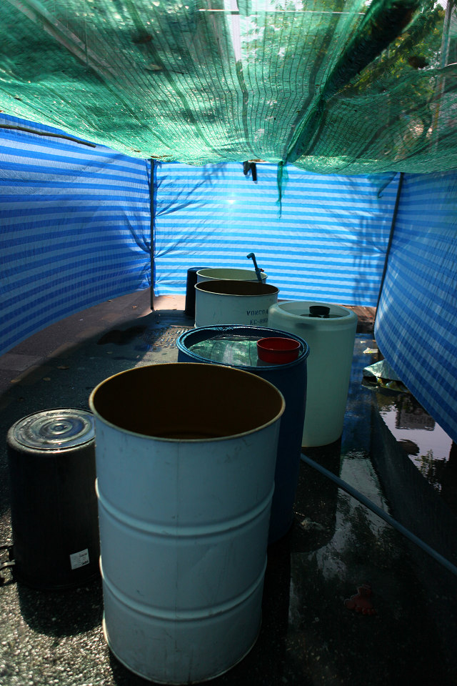 b0149365_22151860.jpg