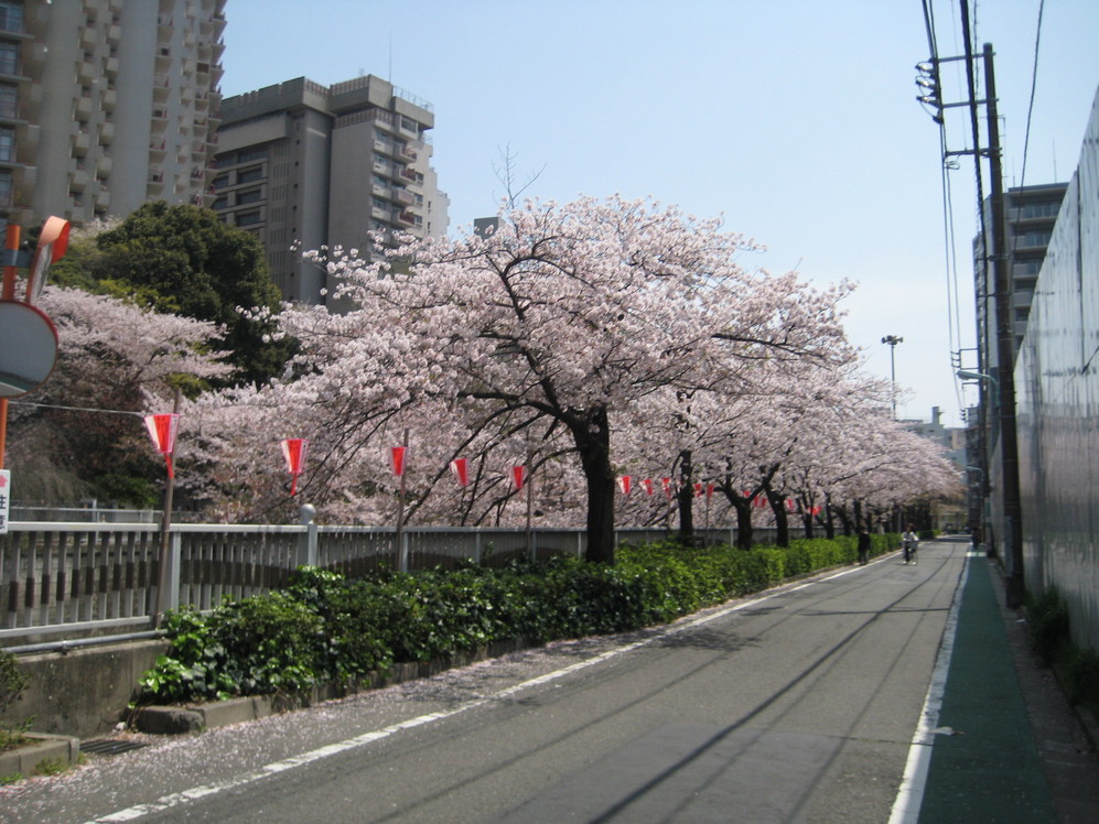 f0218967_1954422.jpg