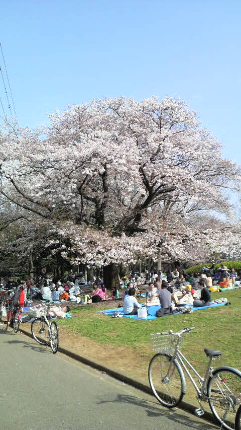 f0233667_16215065.jpg