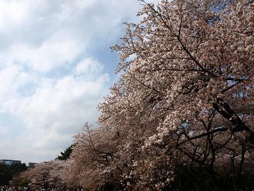 c0102268_251351.jpg
