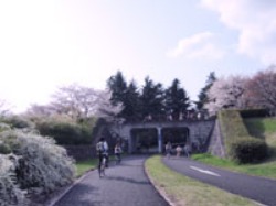 f0016868_0155489.jpg