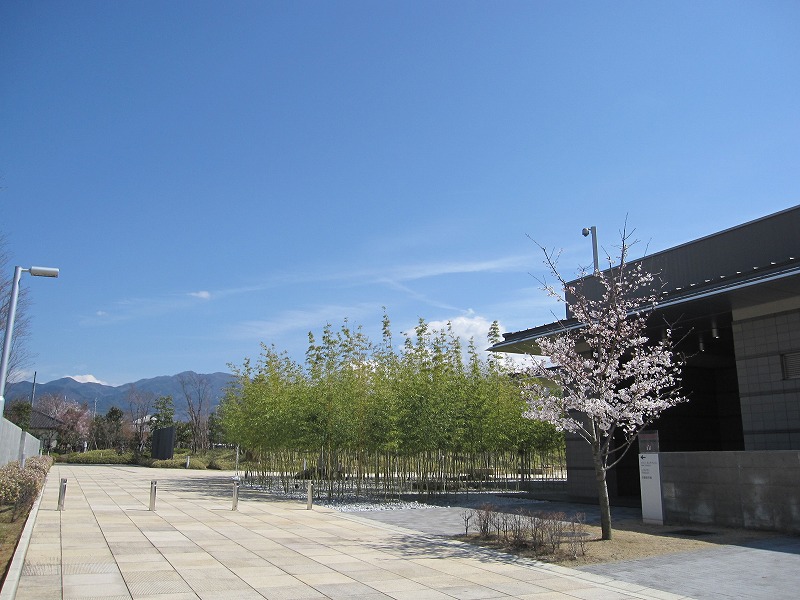 a0104569_20395093.jpg